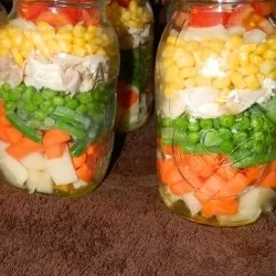 Сушарка для овочів і фруктів своїми руками (проект) Сушарка для овочів і фруктів своїми руками