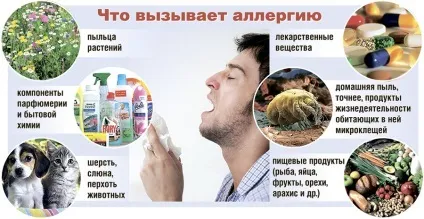 Які страждають на алергію з кожним роком стає все більше (стає) Які страждають на алергію з кожним роком стає все більше