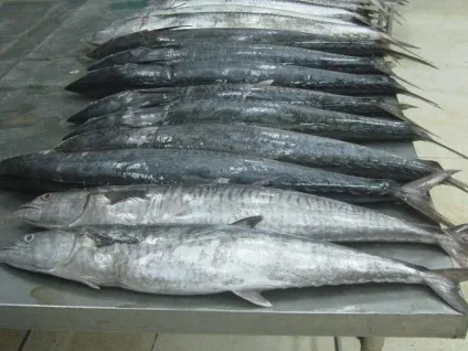 Сурімі - що це за продукт