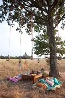 Весільний пікнік