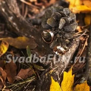 Весілля-пікнік на природі - меню і організація для двох