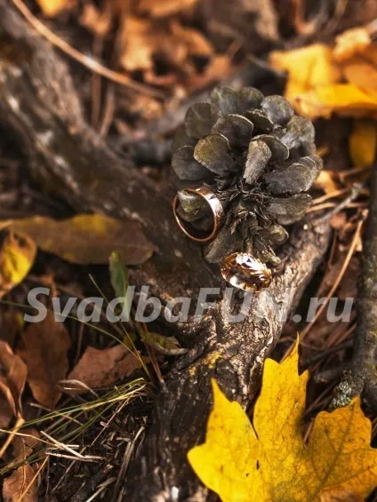 Весілля-пікнік на природі - меню і організація для двох