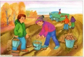 Сюжетні картинки, веселка