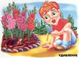 Сюжетні картинки, веселка
