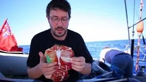 Таблетки від захитування в літаку, автобусі, машині, поїзді, на море