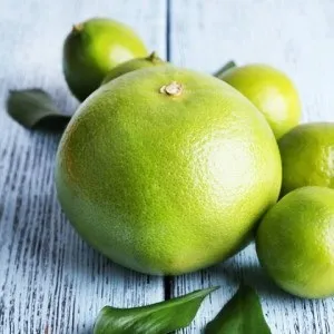 Світі корисні властивості і протипоказання, food and health (корисні властивості) Світі корисні властивості і протипоказання, food and health