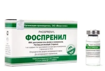 Свиня не їсть після опоросу причини, чому лежить і не встає (лежить) Свиня не їсть після опоросу причини, чому лежить і не встає