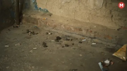 Такі сім'ї не замислюються про наслідки »(« мама »знаходиться квартирі) Такі сім'ї не замислюються про наслідки »