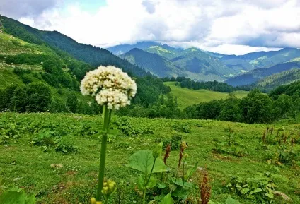 Власними очима
