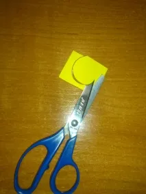 білі