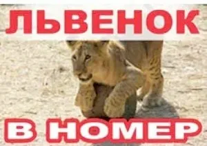 Теорія великого змови - кримський сайт () Теорія великого змови - кримський сайт
