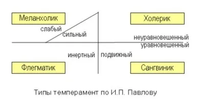Темпераменти і їх характеристика