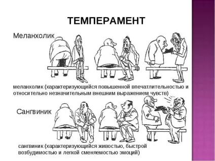 Темпераменти і їх характеристика