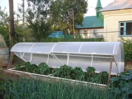 Теплиця і парник чим відрізняються, різниця між використанням, фото, відео (парник) Теплиця і парник чим відрізняються, різниця між використанням, фото, відео