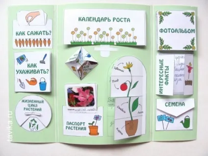 Технологія - лепбук - і її застосування - nit for you (lapbook) Технологія - лепбук - і її застосування - nit for you