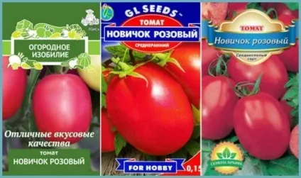 Томат новачок рожевий характеристика та опис сорту, фото куща відгуки садівників (томат) Томат новачок рожевий характеристика та опис сорту, фото куща відгуки садівників