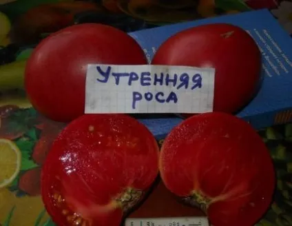 Томат ранкова роса відгуки хто садив, фото помідора (ранкова) Томат ранкова роса відгуки хто садив, фото помідора