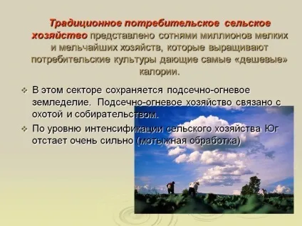 Традиційне споживче сільське господарство (традиційне) Традиційне споживче сільське господарство