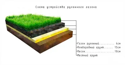 Укладання газону в рулонах як укласти рулонний газон своїми руками (укласти) Укладання газону в рулонах як укласти рулонний газон своїми руками
