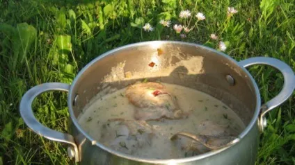 Тушкована курка з вершками (вершками) Тушкована курка з вершками