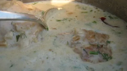 Тушкована курка з вершками (тушкована курка вершками) Тушкована курка з вершками