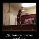 Маю питання \ є запитання! Допоможіть