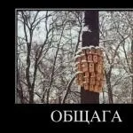Маю питання \ є запитання! Допоможіть