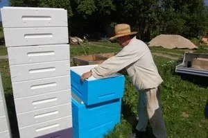 Вулик з пінополістиролу своїми руками, переваги і недоліки (руками) Вулик з пінополістиролу своїми руками, переваги і недоліки