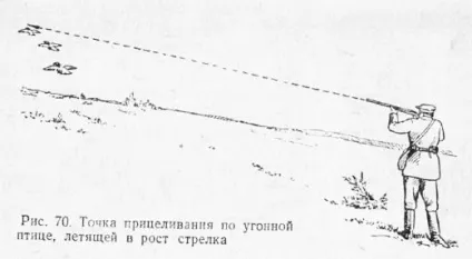 Попередження при стрілянині по качці (качці) Попередження при стрілянині по качці