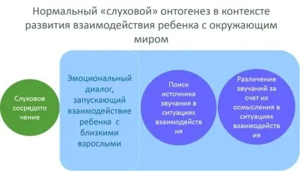 У новонародженого різні вушні раковини чому різна форма вух (раковини) У новонародженого різні вушні раковини чому різна форма вух