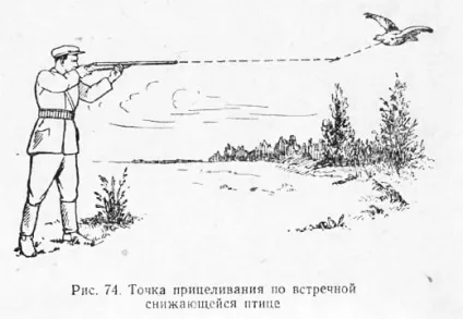 Попередження при стрілянині по качці (випередження) Попередження при стрілянині по качці