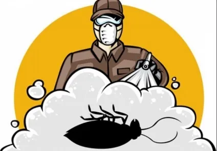 Знищення тарганів у квартирі або будинку назавжди (квартирі) Знищення тарганів у квартирі або будинку назавжди