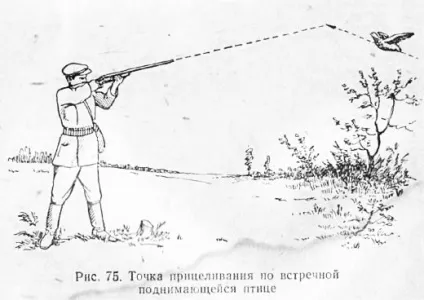 Попередження при стрілянині по качці (випередження) Попередження при стрілянині по качці