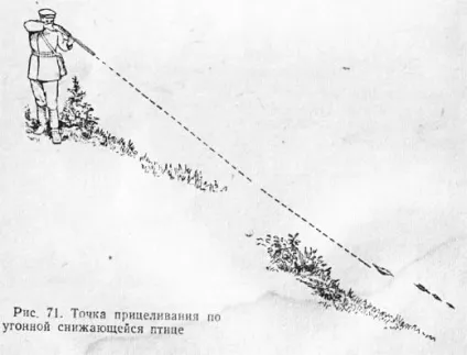 Попередження при стрілянині по качці (попередження при стрілянині по качці) Попередження при стрілянині по качці