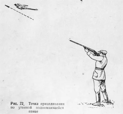 Попередження при стрілянині по качці (качці) Попередження при стрілянині по качці