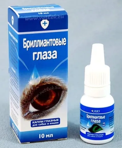 У собаки гноїться очей, що робити поради ветеринарів (очей) У собаки гноїться очей, що робити поради ветеринарів