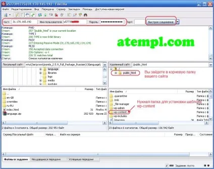 Установка шаблона wordpress через ftp filezilla