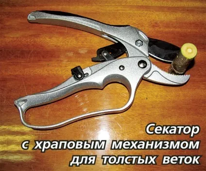 Догляд за чагарниками навесні