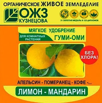 Догляд за мандарином з кісточки в домашніх умовах відео