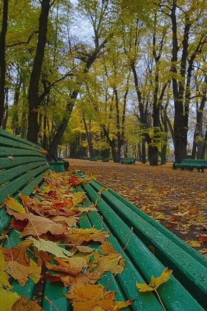 Піти з життя (галина журба) (тебе буде добре) Піти з життя (галина журба)