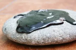 Весняна алергія лікування народними засобами (лікування) Весняна алергія лікування народними засобами