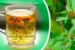 Весняна алергія лікування народними засобами (вилікувати сам) Весняна алергія лікування народними засобами