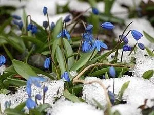 Весняний настрій! Розповіді про весну - ярмарок майстрів - ручна робота, handmade (весняний настрій) Весняний настрій! Розповіді про весну - ярмарок майстрів - ручна робота, handmade