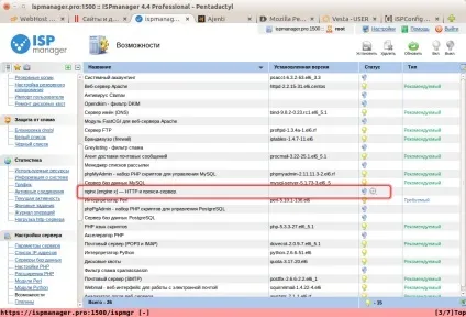 Вибираємо панель управління хостингом