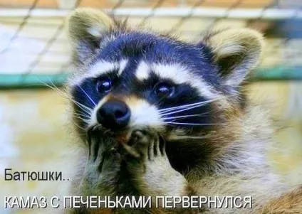 Веселі хвилинки! Жарти для підняття настрою, блогер krupiwa на сайті 17 августа 2012, пліткар (відкриття закриття відкритті закриття) Веселі хвилинки! Жарти для підняття настрою, блогер krupiwa на сайті 17 августа 2012, пліткар