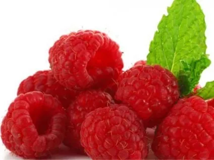 Ваша кішка сильно схудла