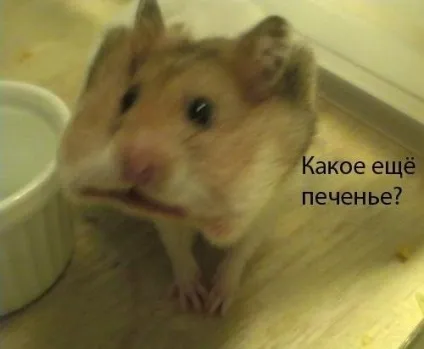Веселі хвилинки! Жарти для підняття настрою, блогер krupiwa на сайті 17 августа 2012, пліткар (відкриття закриття відкритті) Веселі хвилинки! Жарти для підняття настрою, блогер krupiwa на сайті 17 августа 2012, пліткар