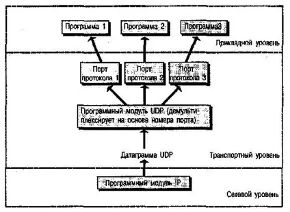 види протоколів