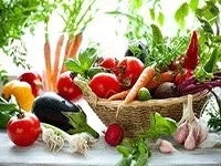 Вирощування овочів як бізнес з чого почати (вирощування овочі бізнес круглий рік почати аграрний) Вирощування овочів як бізнес з чого почати