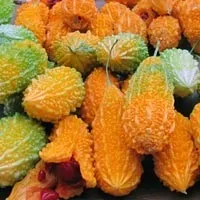 Вирощування момордики (момордики) вирощування момордики
